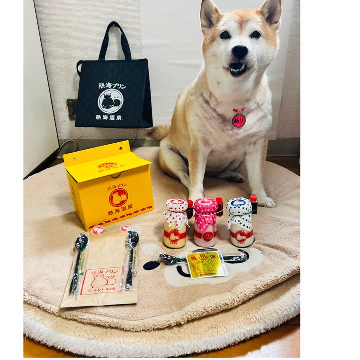 64b65ff8 d27b 466f b219 20de677d66fb 1732151162627