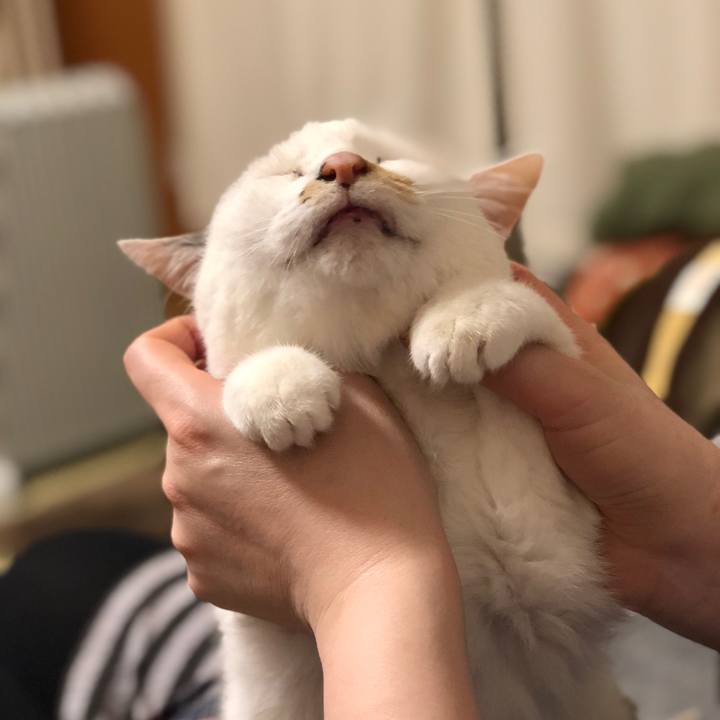 64b66547 b7cc 46d9 82e7 310d1ef16e0b 1518322650085