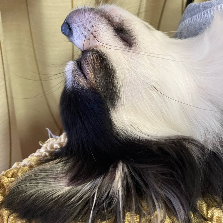 64b677c3 6633 41eb 836e a7afbe6a4e07 1650120993592