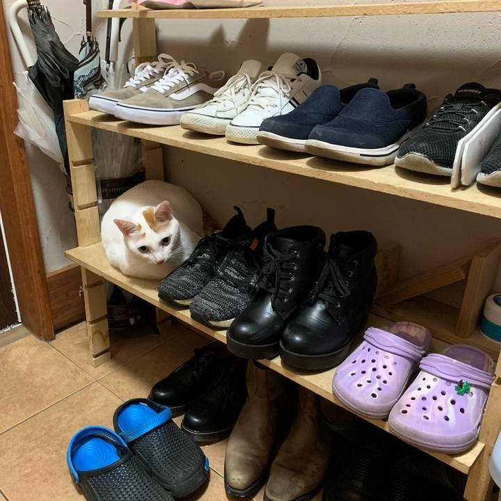 64b68b59 c6c7 4da1 ab4b 2e3e3ffb07fa 1601042603892