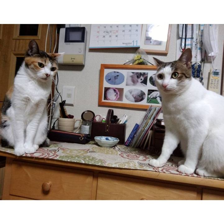 64b69b7d e846 4da5 8206 614c1e8a586d 1668598454882