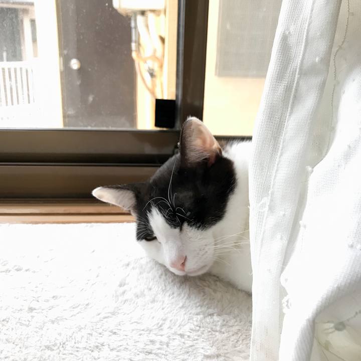 64b6a3f1 0794 420a ae8e ed410b6e43b5 1530064585397