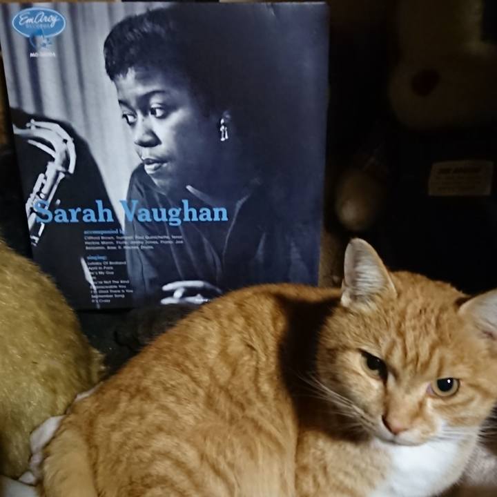 64b6b822 88c0 4f95 8efa b37646a49a7d 1607163582777