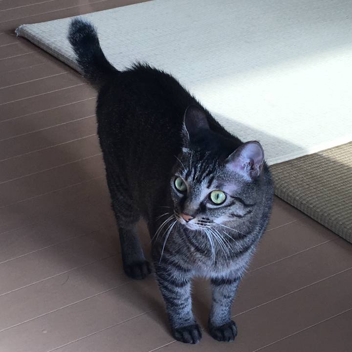 64b70d80 4a93 4948 b427 bdff1a6396ff 1537659438086