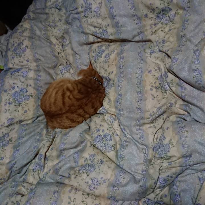 64b75bf4 1cb1 4e73 85bc 311d16b5dd16 1576240746614