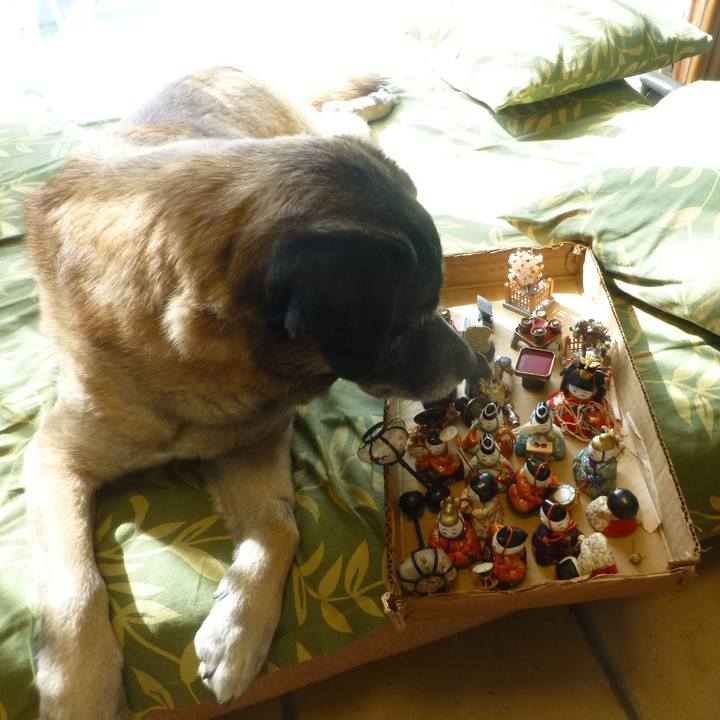 64b76340 e2cd 4ac2 acbc 374af300d2a3 1579513064659