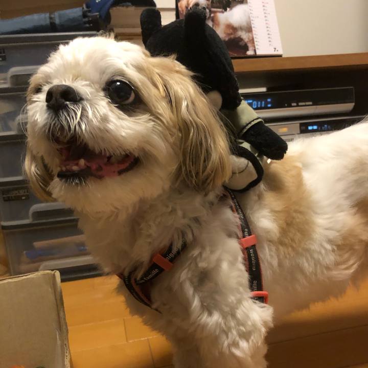 64b7e0c3 02c6 4a27 aacf 9fa3f390c0a4 1625262550705