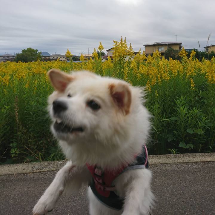 64b8035c 8743 4215 be0e 838fd9ab5da7 1539900858484