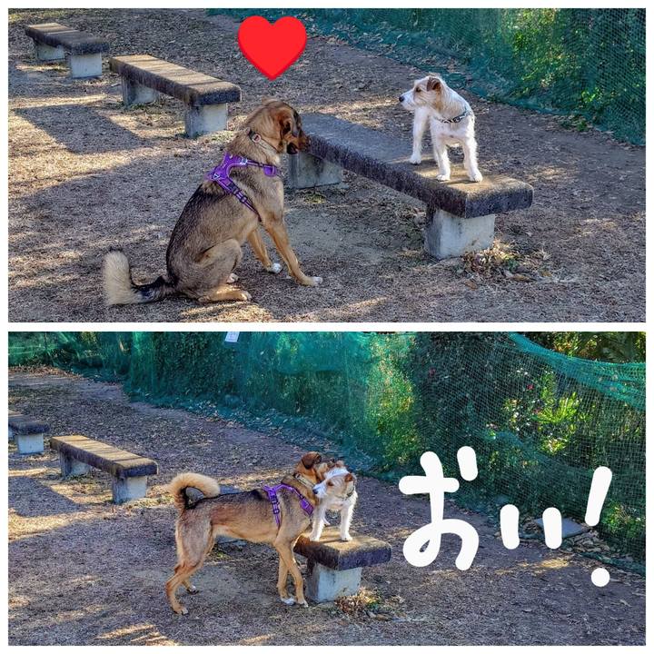 64b8098e ec27 4794 b28b 35ea68f2079f 1736042101403