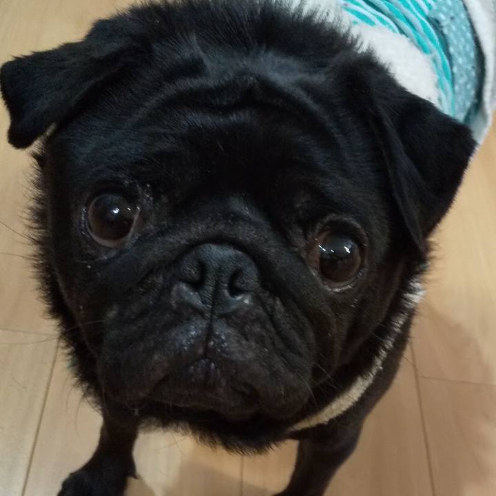 64b81b96 0e5b 4431 ae7e 772c711411da 1636371195242