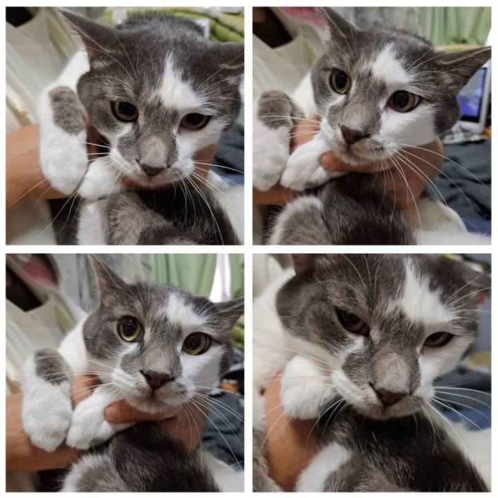 64b82b7b 35ee 4cee 9679 8995b50d4b16 1751379294902