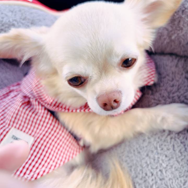 64b852bd 21c9 4931 928b a76c78f5d782 1694428873909