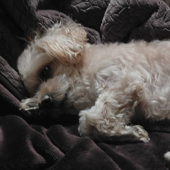 64b856d2 4dcd 4ade 862b 1fbddc71250f 1734151447764