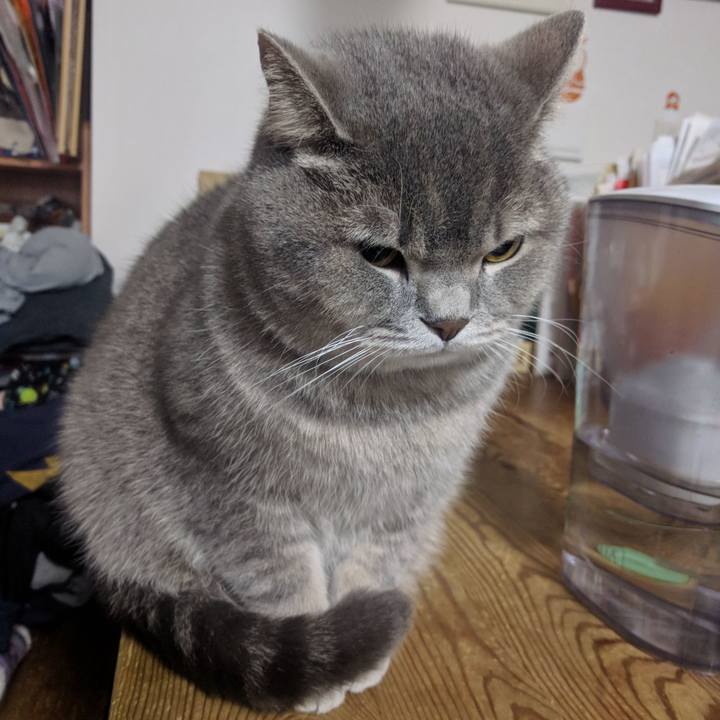 64b89092 8414 430b a013 273502bd02d4 1513597957907