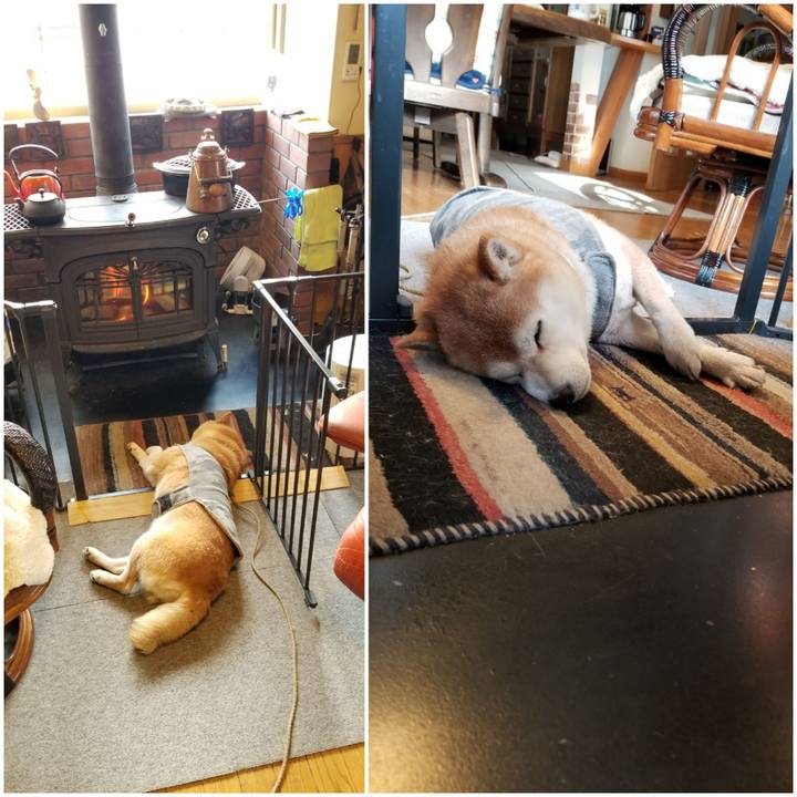 64b8abd8 0717 4a87 a03e 725fb3a64c13 1646434791075