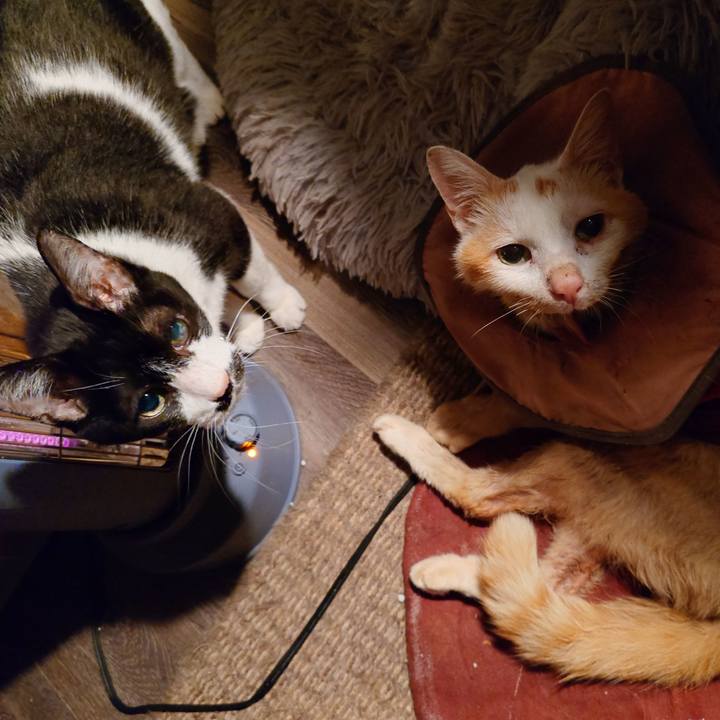 64b8bc60 f31b 41c9 a32b 0d0163630ee5 1767704916294