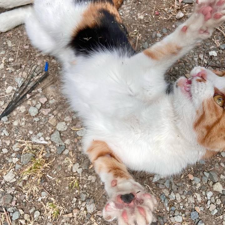 64b8cfe6 4c21 480d 9438 21b678942dfb 1652337293978