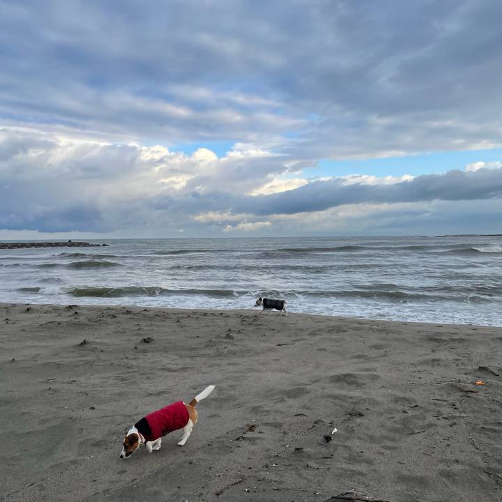 64b8dffb e987 49d9 8a02 ac4161dde867 1670547522874