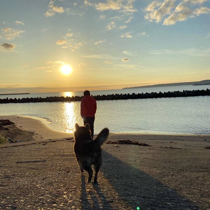 64b90d6e 9c16 4967 9886 5bdb868b90a6 1602404185848