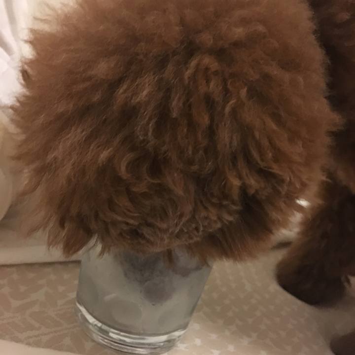 64b9168c f2f3 4550 ba45 8e3e74939991 1527771566140