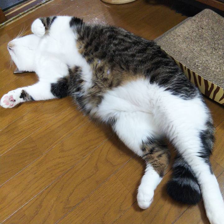 64b96715 2139 422c 97f3 f97bc15c3eb7 1657282003551