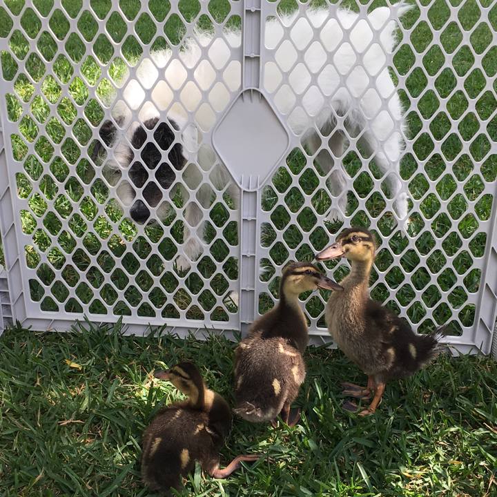 64b9737b b65b 4a51 9014 67839a4db2c5 1526783974900