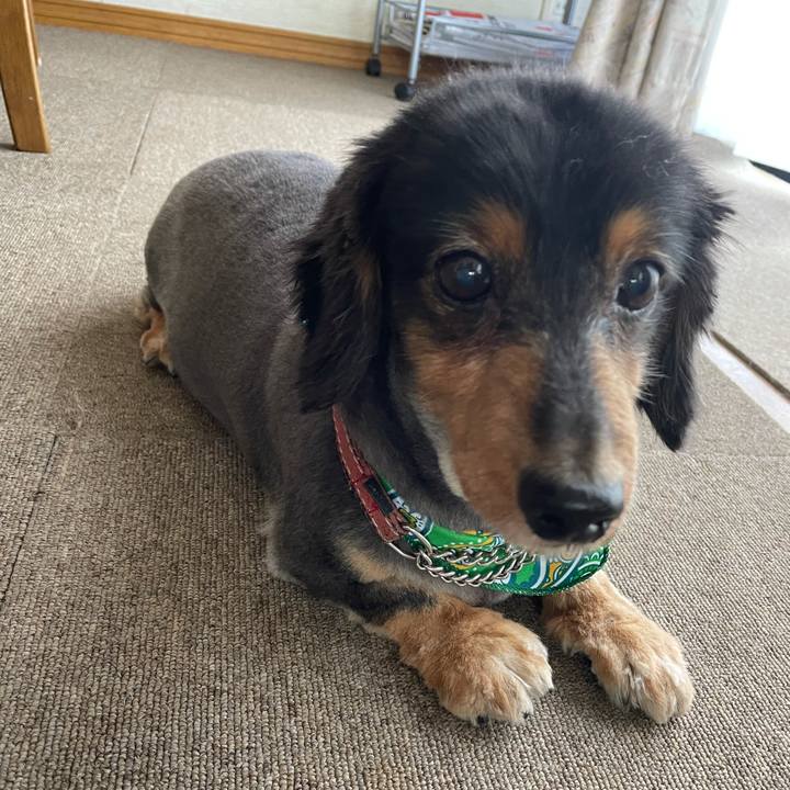 64b9955a 172f 4ec2 b52d 99dc0d161893 1624676407566