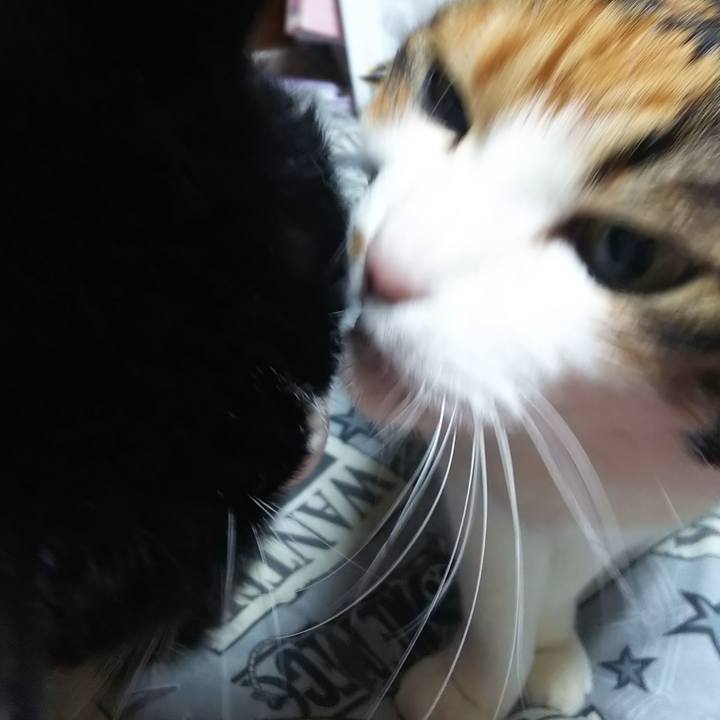 64ba0de4 f0a3 417a 8565 e3dfeb74c1a0 1575841918165