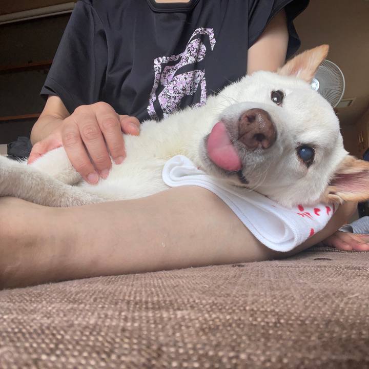 64ba1bca 495a 4e8f 9e00 a5d33c6b592b 1666087844732