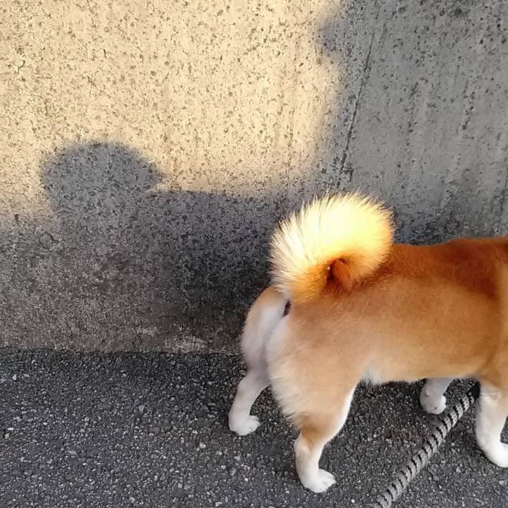 64ba6331 eec7 4551 b8a8 97fb67384788 1672561078045