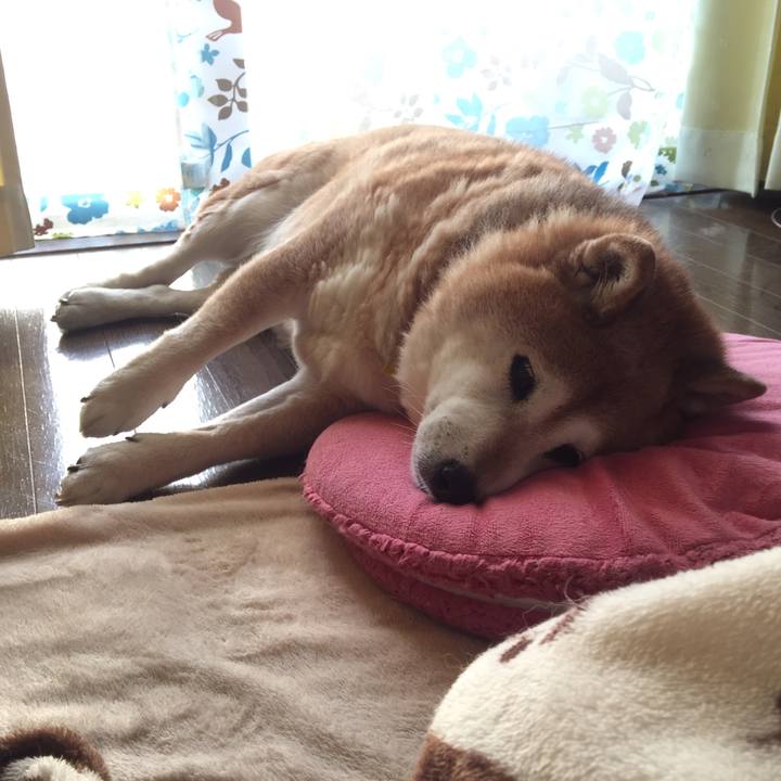 64ba8ef0 3c43 4c8b 9cc5 f19b013ebb64 1555755230929