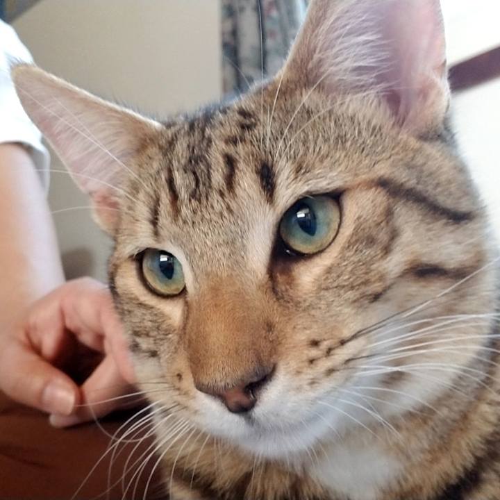 64bab77e cd19 42ca bbe0 687a07476ea8 1569654732363