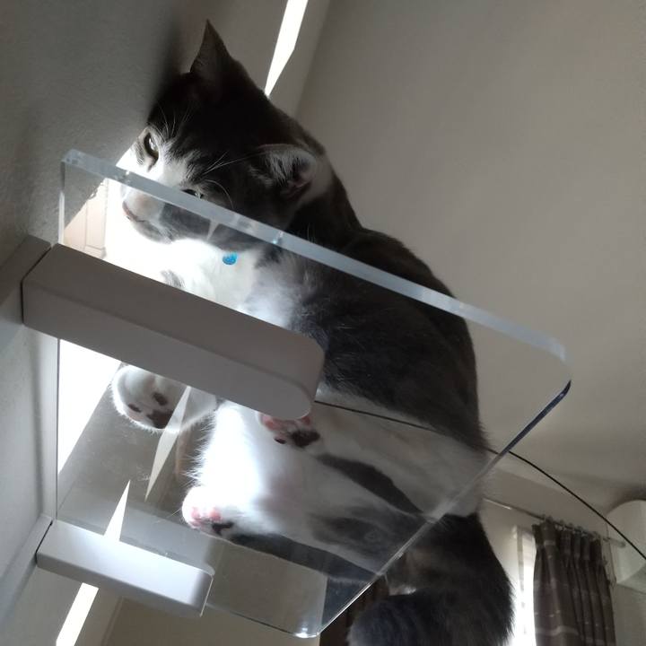 64babc9f f481 4fe8 bb46 b6b0ad088409 1596686132016