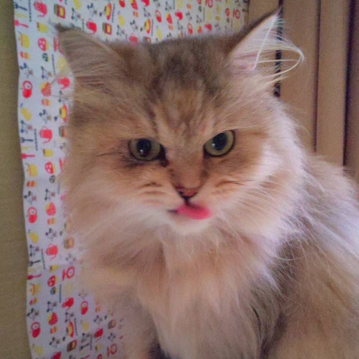 64bad8b0 f813 42a2 8306 ea961bcb04d0 1600653364764