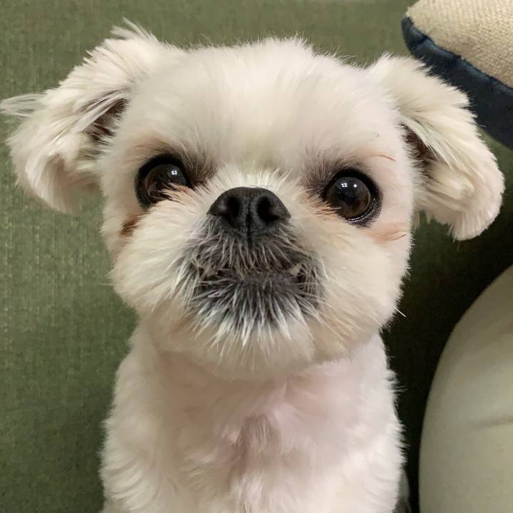 64bae68b 8dc3 498c 8222 946e764a3a4a 1703998782367