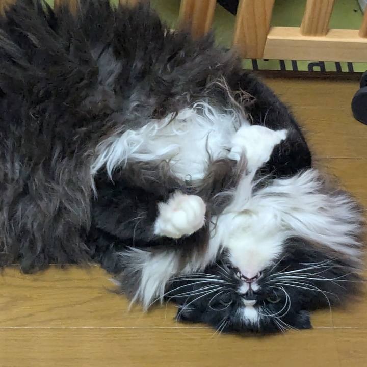 64baeb67 0296 43cc 8ad1 4dc6702bfe37 1759928574608