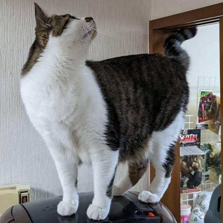 64bb0490 4338 417c 885d cfd8b88538b0 1683159341937