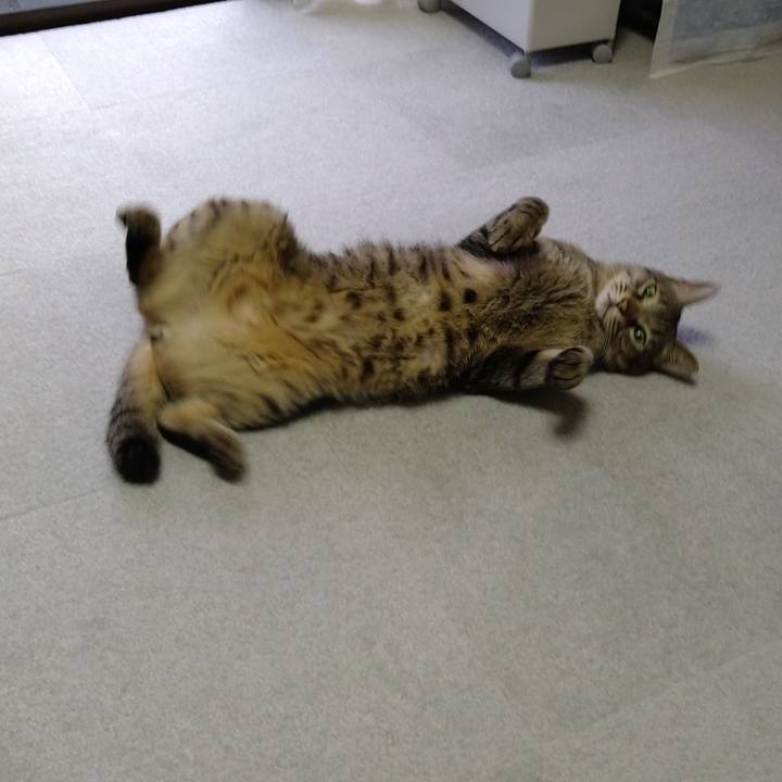 64bb25e4 c723 4939 832e 30d9d1b2faeb 1656754567224