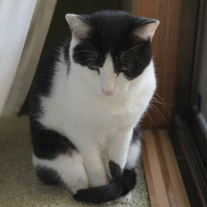 64bb50ef 737e 4c86 8e49 8f058305824b 1544753166130