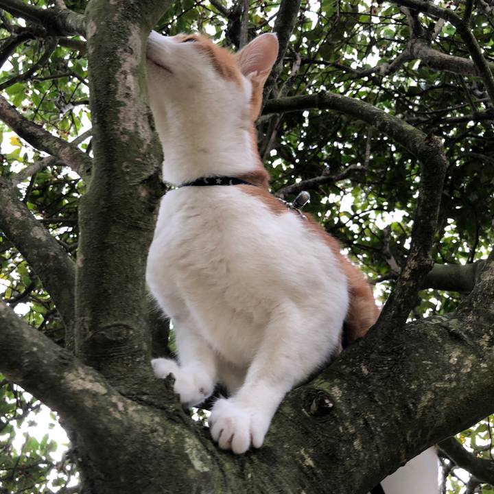 64bb5603 293d 4061 af55 680a24ddab39 1540962396171