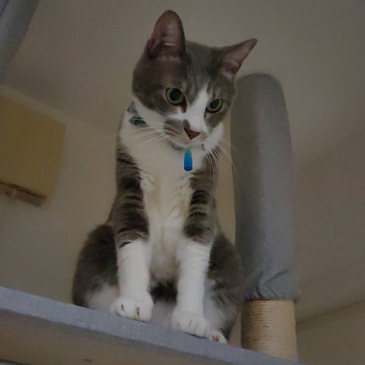 64bb680f d8a7 4a1e 88fc 128f9a645fea 1698414846459