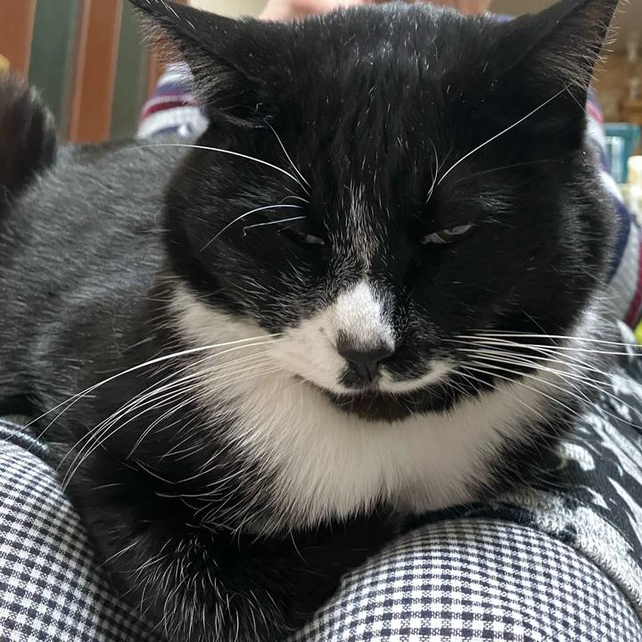 64bb962b 9141 45d1 9a2e 1f40737c4af9 1747278802670