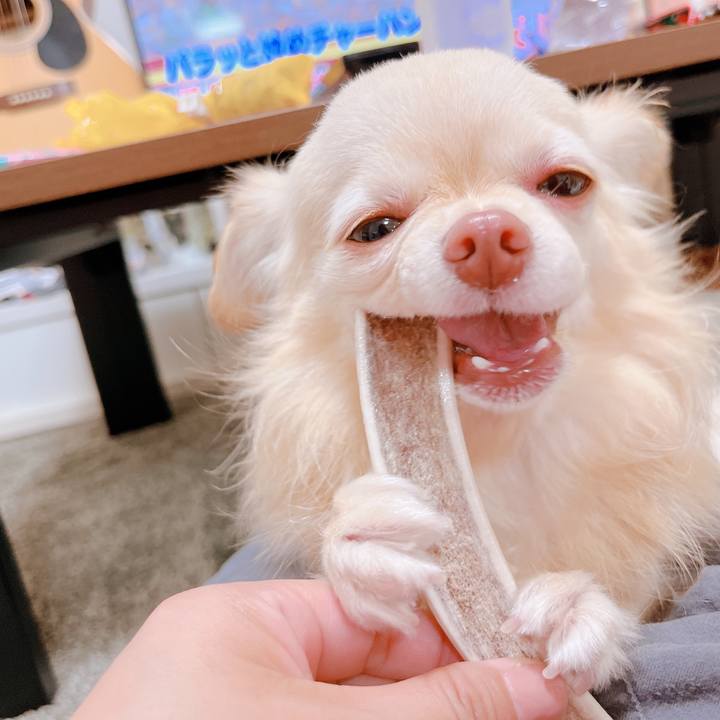 64bb9af1 da74 4f39 b170 f98ab9091de7 1653533822161