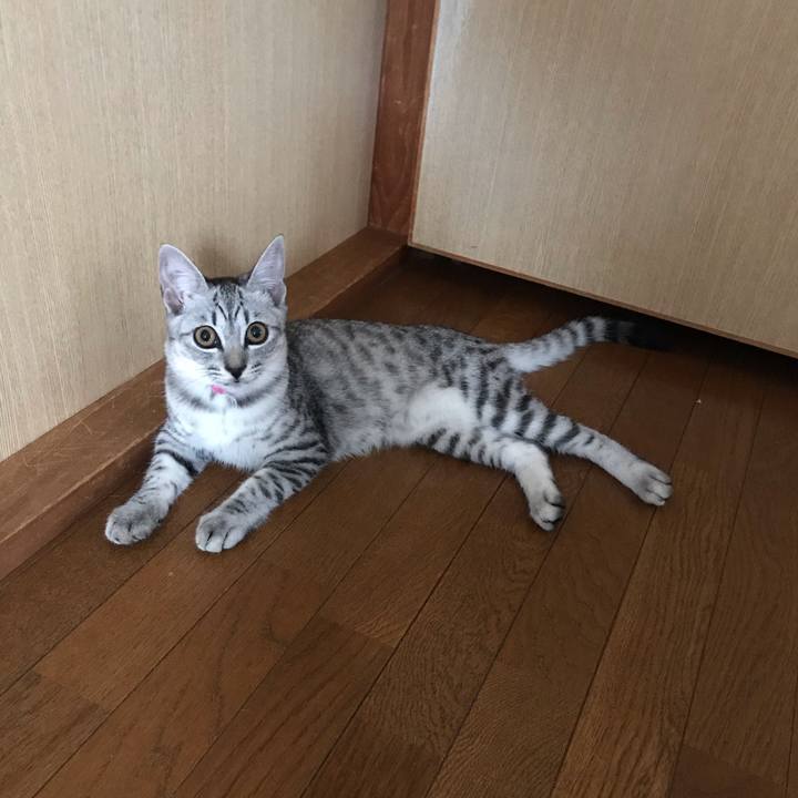 64bba50a 8505 4440 b65f 2114abf2a9db 1568939989283