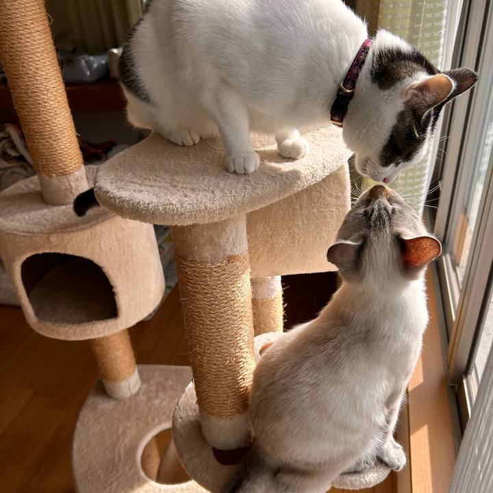 64bbb77a 2f54 4a0e 99f3 e2bc57b1bf4e 1733715307016