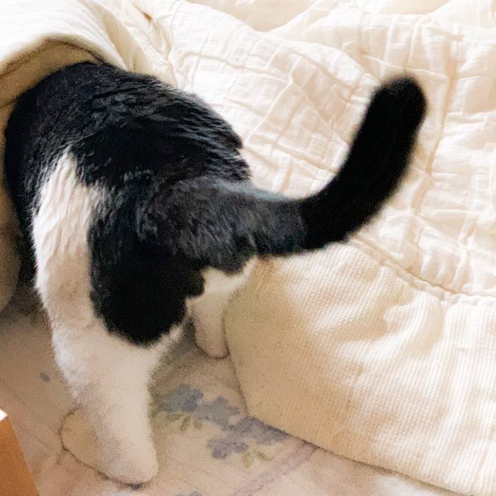 64bc6f95 f083 4aa4 ba3e b9066a17210b 1572834981634