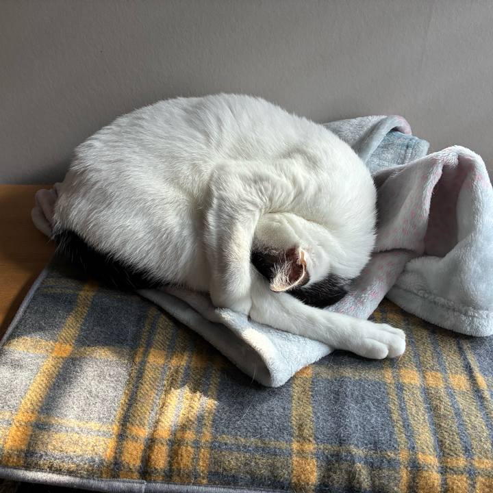 64bc9b8b 3e13 4736 8a61 04f0eeea319a 1768796607069