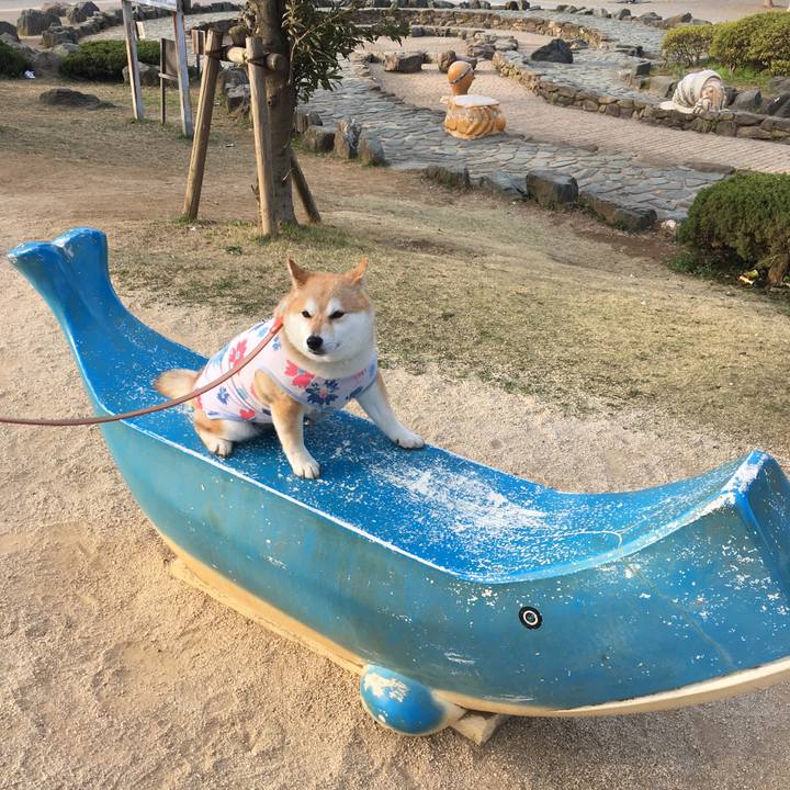 64bc9dfa 3757 4791 831e 42c5588fa2e7 1554450404765