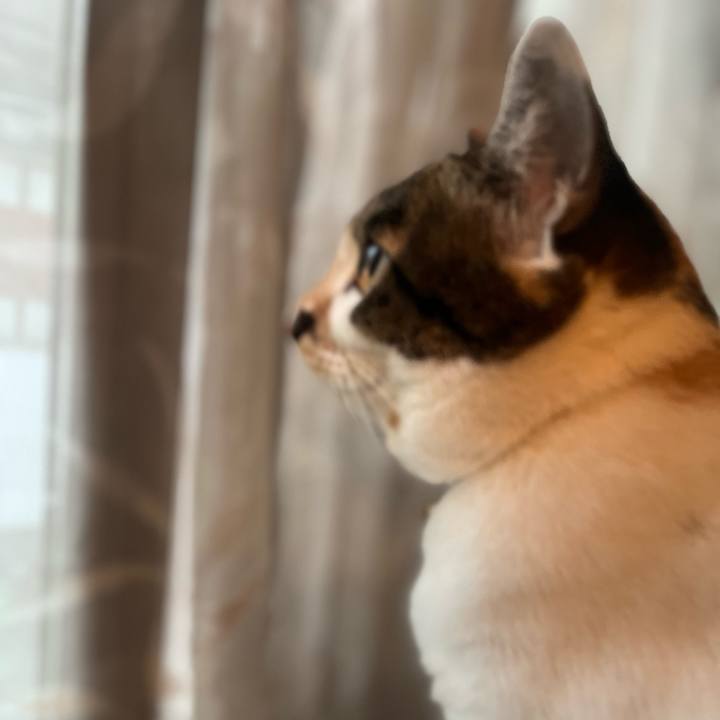 64bccaa3 7519 4e45 ad8e cca0b8a9f403 1761084533650