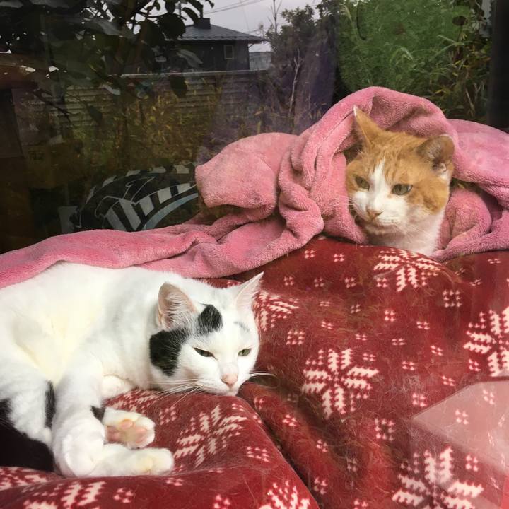 64bd632f c3fd 46dc aac0 a2669435677f 1571397060175